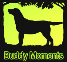 Buddy Moments Slide Show 2008-2009, Eric Kinkel's dog Buddy Kinkel