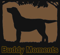 Buddy Moments slide show_08